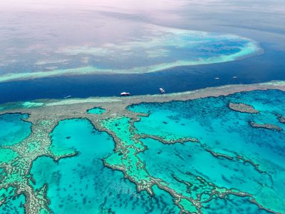 Un área pesquera en Australia podría convertirse en un enorme santuario gracias a una ONG