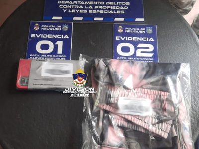 Una mujer demorada en el oeste neuquino por robo de dinero y celulares