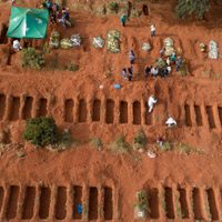 Muertes por covid-19 en el mundo superan las 250 mil