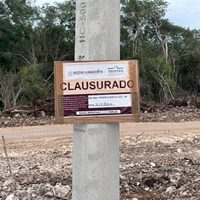 Pese a suspensión definitiva de construcción en la selva maya, empresa avícola retoma obras