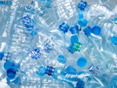No tires las botellas de plástico y convertilas en un adorable florero para alegrar tu hogar