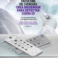 Científicos de la UNAM desarrollaron un biosensor para detectar el coronavirus con pruebas PCR