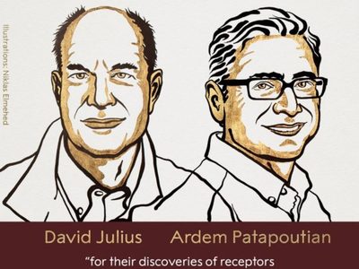 Para David Julius y Ardem Patapoutian el Nobel de Medicina