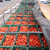 Ministerios de Agricultura de América del Sur organizan libre tráfico de alimentos