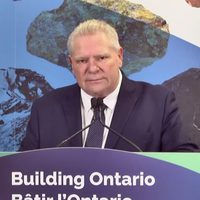 “Necesitan sentir el dolor”: Ontario amaga con cortar la luz a EU en represalia por aranceles