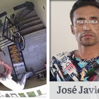 Captan a sujeto dando brutal golpiza a una perra y la avienta del tercer piso; ya fue detenido