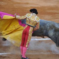 Empresarios frenan dictamen que prohíbe corridas de toros en la CDMX