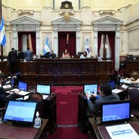 Pagar al FMI con dólares fugados: el proyecto del oficialismo que se debatirá en el Senado