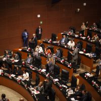 El nuevo ombudsman debe ser independiente e imparcial: ONG a senadores