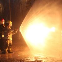 Requieren la “pronta” reglamentación de la Ley de Bomberos Voluntarios de Neuquén