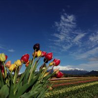 Focus Market: la llegada de la primavera y el consumo de los argentinos