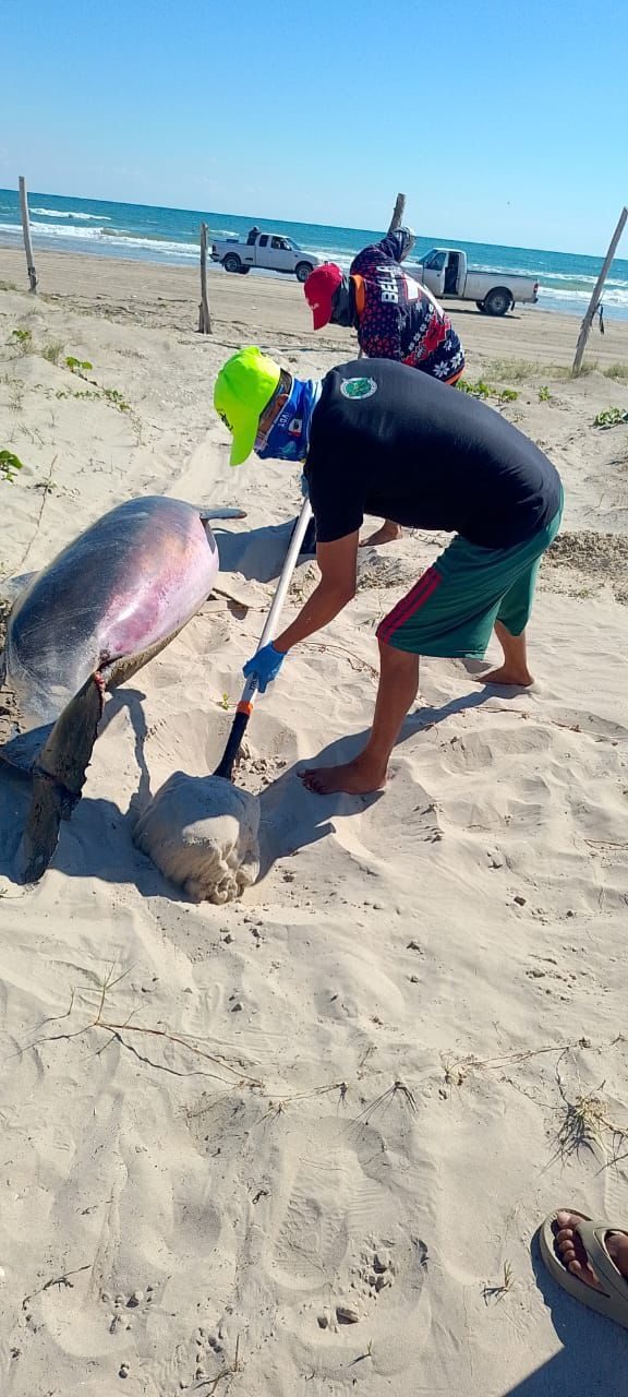 1001232169