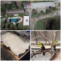 Reportan decomiso 'histórico” de crystal y un rancho con droga y animales exóticos en Tamaulipas