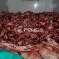 Importante secuestro de carne transportada de manera irregular en Rincón de los Sauces