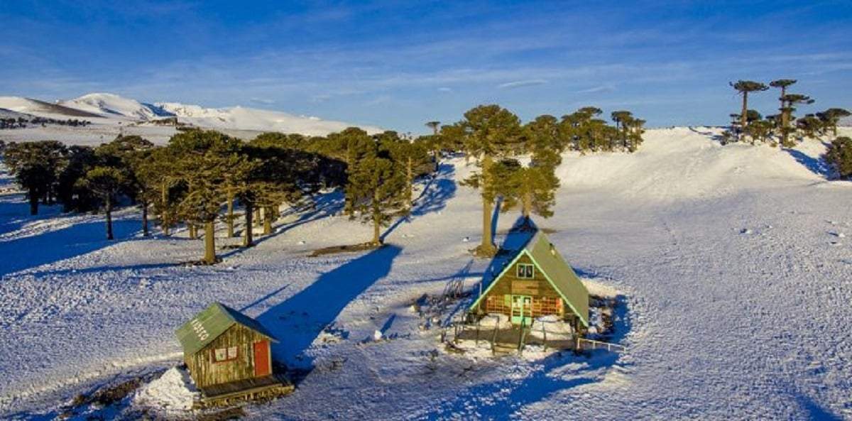 Complejo de Primeros Pinos. Fuente: (Neuquén Informa)