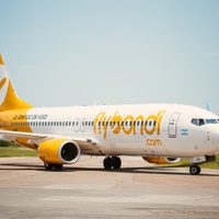 Vuelos en pandemia: Flybondi reclama la apertura del aeropuerto de El Palomar