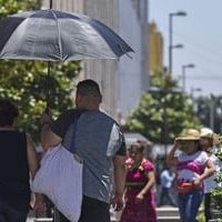 Ola de calor: Registran tres muertes en la Cuenca del Papaloapan