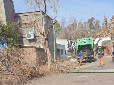 Reportan caos en un barrio de Luján por la poda de árboles