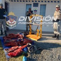 Encontraron a dos cazadores furtivos en Junín de los Andes