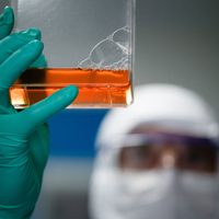 Suero equino hiperinmune: se aplicará o no en Río Negro