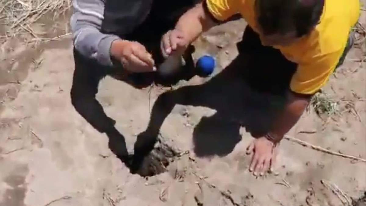 Pobladores publicaron un video del hallazgo