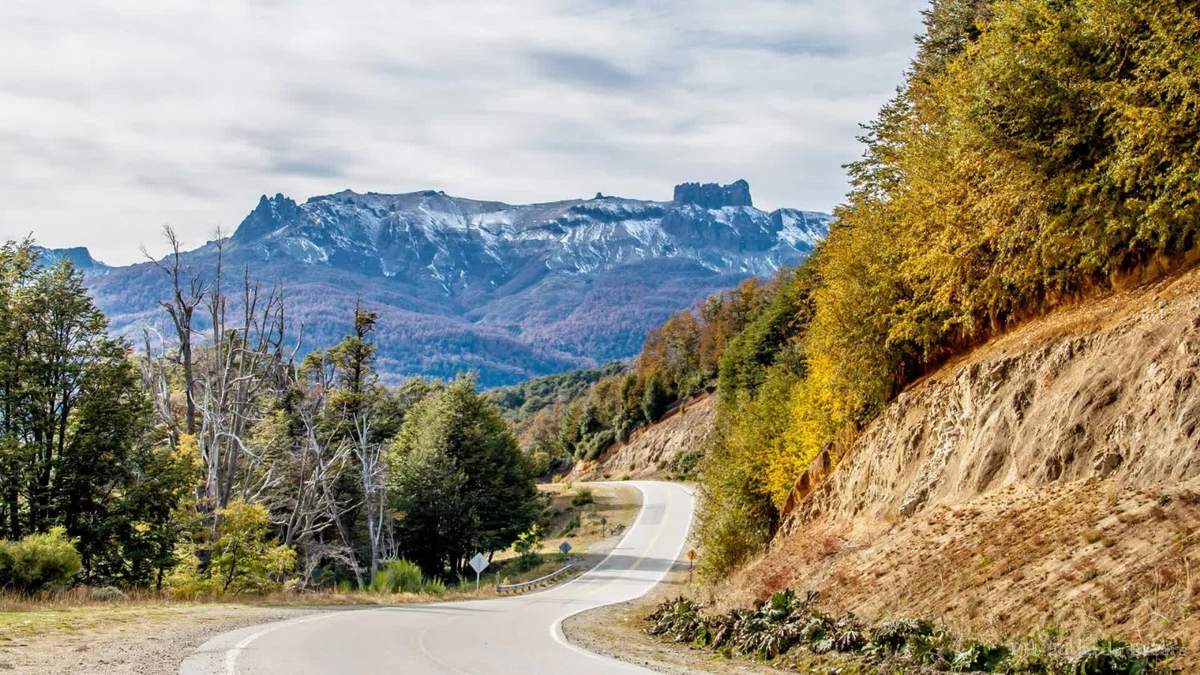 Ruta de los Siete Lagos. Fuente: (Twitter)