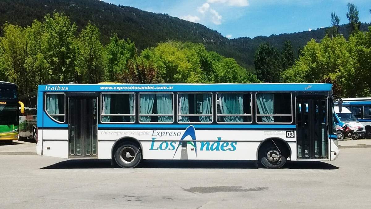 Colectivo en San Martín de los Andes. Fuente: (Twitter)