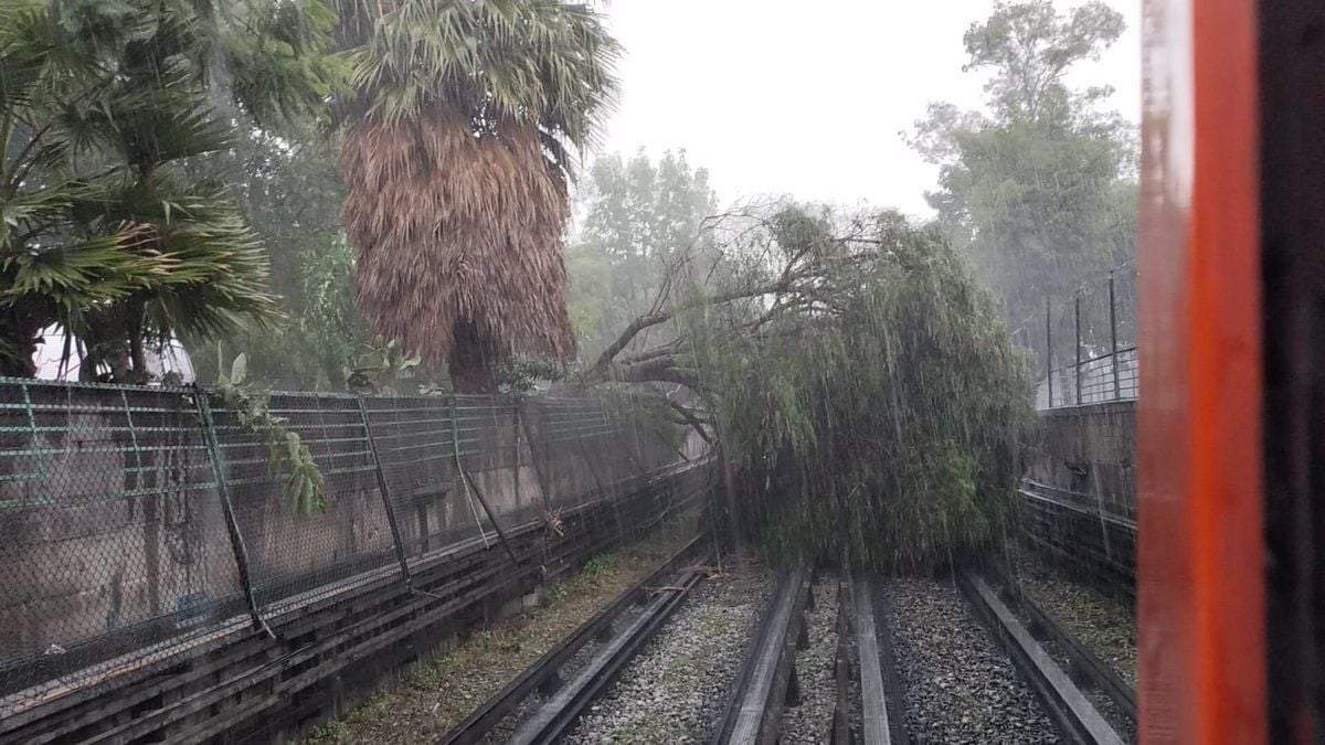 Árbol caído en las vías del Metro