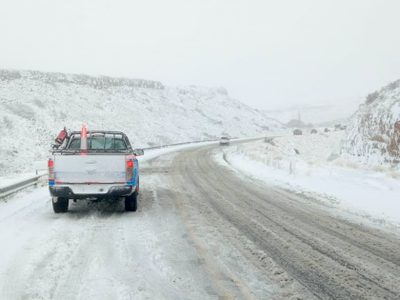 Pino Hachado intransitable por acumulación de nieve