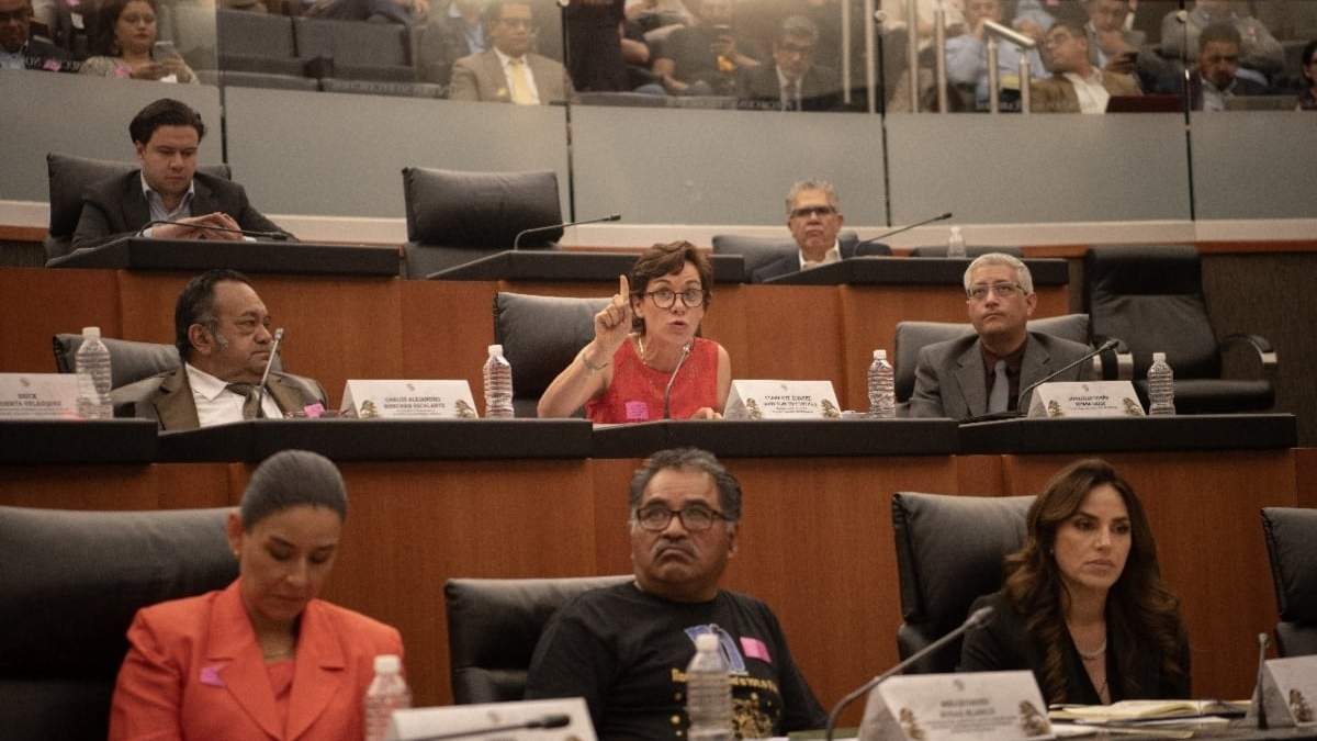 La extitular de la Cofetel, Clara Luz Álvarez González, en el conversatorio en el Senado