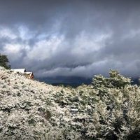 En pleno verano: las nevadas sorprendieron a una zona de Neuquén