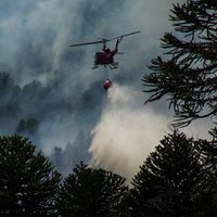 Brigadistas de distintas provincias refuerzan el combate contra el incendio en el Parque Nacional Lanín