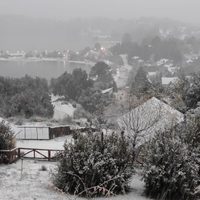 Cayó la primera nevada del año en Villa Pehuenia