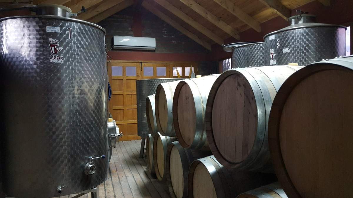 El Papa Fancisco toma vino neuquino. Fuente:(Twitter)