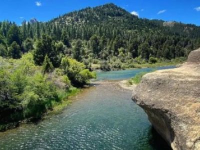 Un trabajador del Parque Nacional Lanín murió ahogado tras ser arrastrado por el agua en el río Caleufú