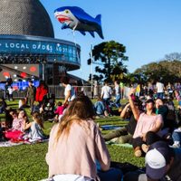 "Aún hay riesgo": la Ciudad brindó recomendaciones previas al Día de la Primavera