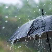 Rige una alerta amarilla por tormentas, viento y lluvia: cuáles son las provincias afectadas