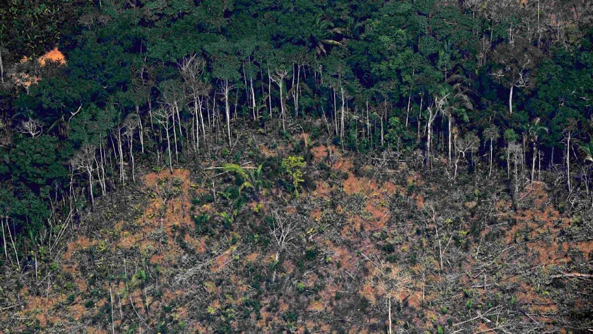 Deforestación en la Amazonía. Fuente: (Twitter)