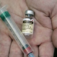 Nuevos estudios dejan entrever que vacunas contra el VPH previenen el cáncer en hombres y mujeres