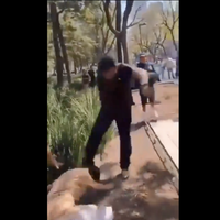 Golpean a mujer trans durante operativo de desalojo en la Alameda (Video)