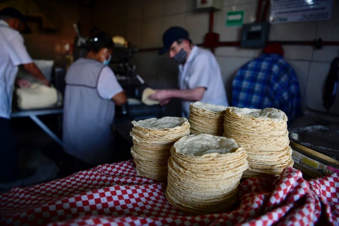 tortillas Benjamin