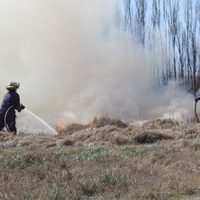 Triste récord en Centenario: hubo más de 130 incendios en solo tres meses