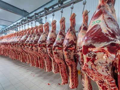 El Gobierno apostará por un Plan Ganadero para bajar el precio de la carne