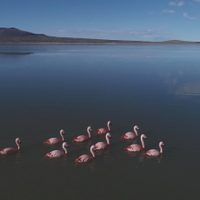 Instalan el primer sensor de alta frecuencia para el monitoreo de cuerpos de agua en Laguna Blanca