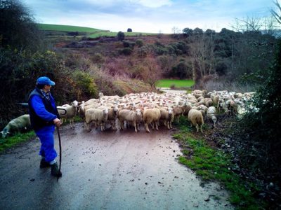 El Covid 19 trajo la reivindicación de los productores rurales