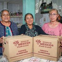 Despensas gratis: ¿Cómo saber si te toca un apoyo de Alimentación para el Bienestar?