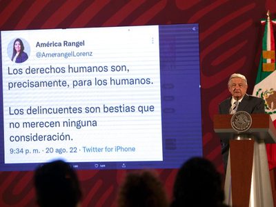 Tras ser exhibida en la mañanera, Morena pide a diputada del PAN no llamar “bestias” a delincuentes