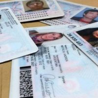 Registros Civiles de Neuquén abrirán sus puertas el domingo de elecciones para retirar DNI