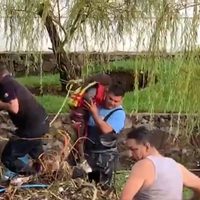 Desborda arroyo en Tlajomulco: reportan tres muertos, dos rescatados y dos desaparecidos
