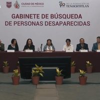 Desaparición de personas: ¿sirven de algo los gabinetes y comisiones? (Video)